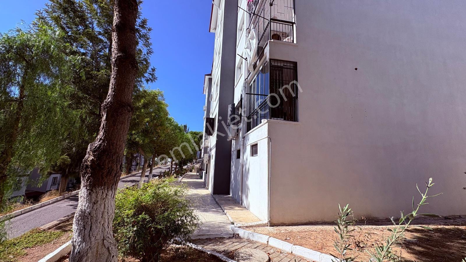 Kadınlar Denizinde Komple Tadilatlı 2+1 Site İçinde Daire — fotoğraf 34