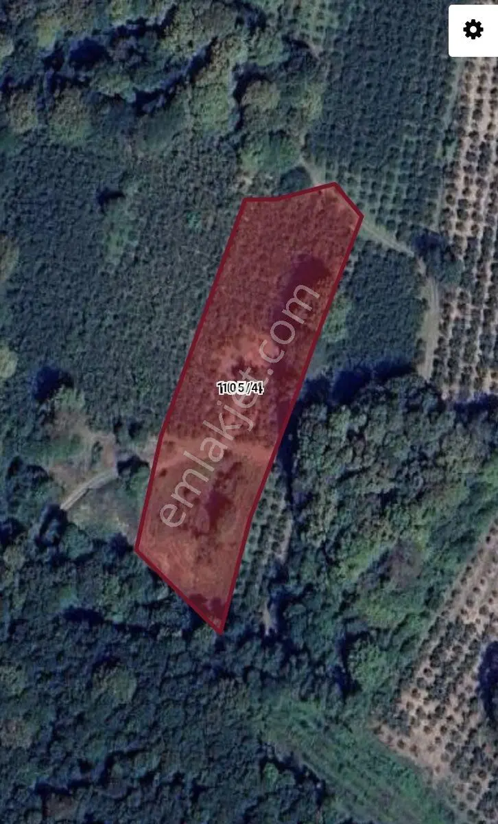 Kocaeli / Kandıra / Özbeyde 5.495 M² Satılık Tarla