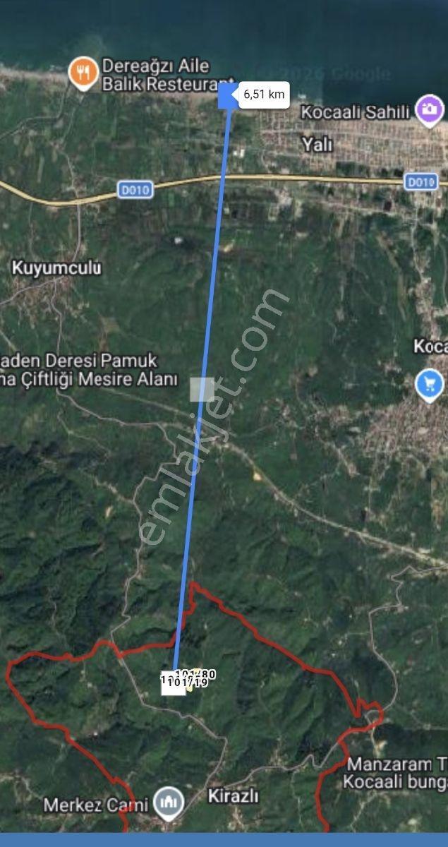 Kocaali Kirazlıda Denize Nazır 30 Dönüm Fındık Bahçesi Ve Ev — fotoğraf 6