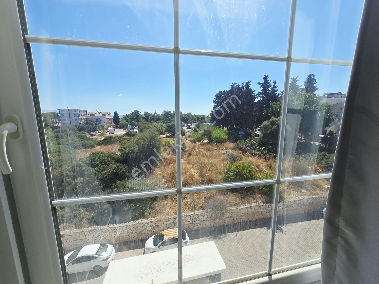 Didim Çamlık Ta Denize 200 Metre Geniş Daire — fotoğraf 16