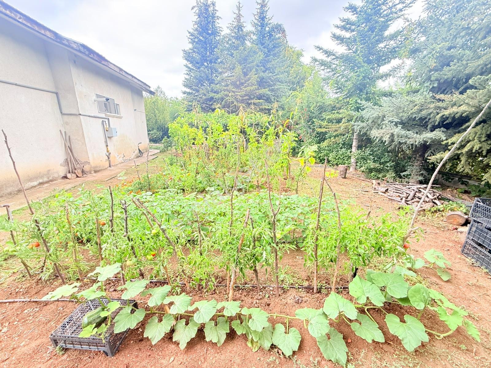 Gölbaşı Ballıkpınar'da Bahçekent Sitesinde 1500m2 6+1 Villa — fotoğraf 29