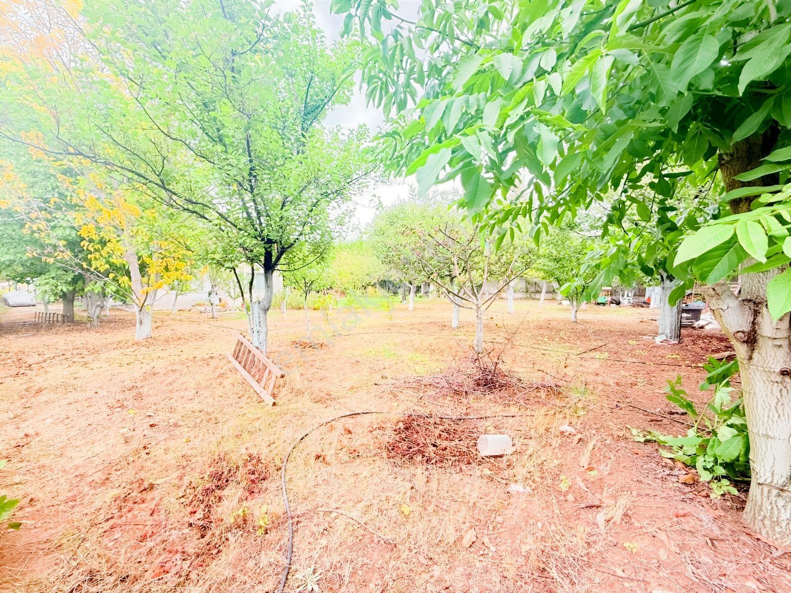 Gölbaşı Ballıkpınar'da Bahçekent Sitesinde 1500m2 6+1 Villa — fotoğraf 32