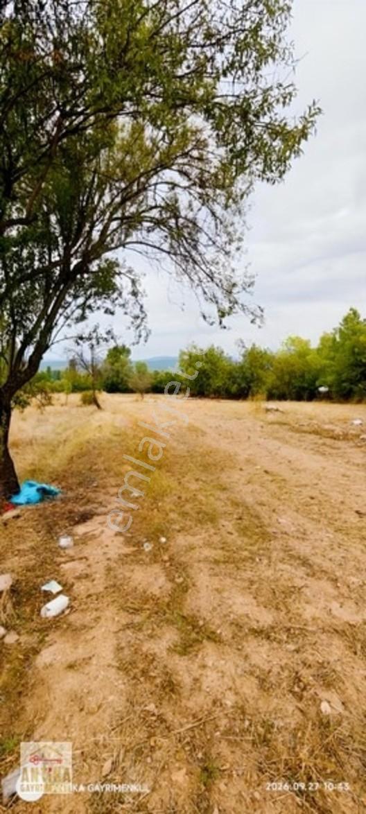 Antika Gayrimenkul'den Altınyayla'da Satılık Bahçe — fotoğraf 3