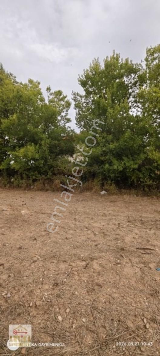 Antika Gayrimenkul'den Altınyayla'da Satılık Bahçe — fotoğraf 4