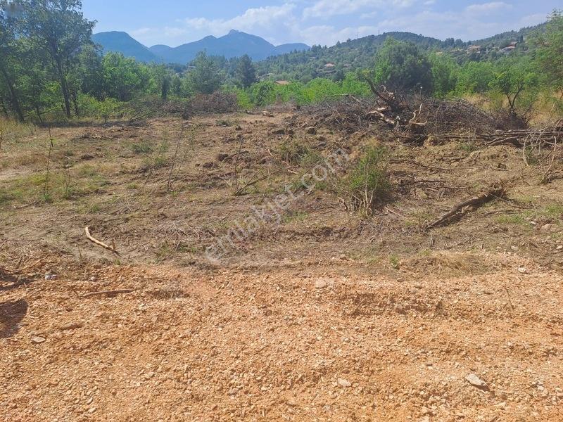 Antalya Akseki Usanmaz Emlaktan Mahmutlu Da Muhtşem Bir Yerdaha — fotoğraf 10