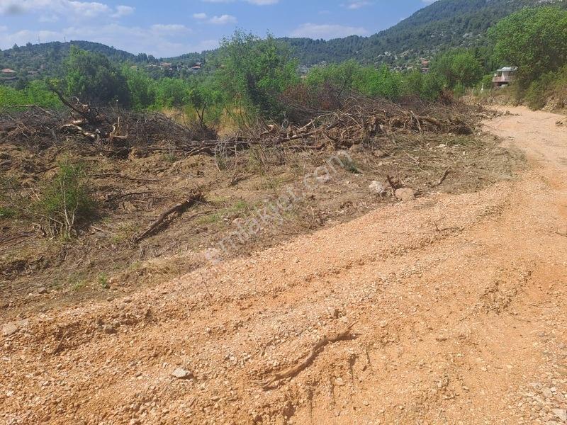 Antalya Akseki Usanmaz Emlaktan Mahmutlu Da Muhtşem Bir Yerdaha — fotoğraf 11