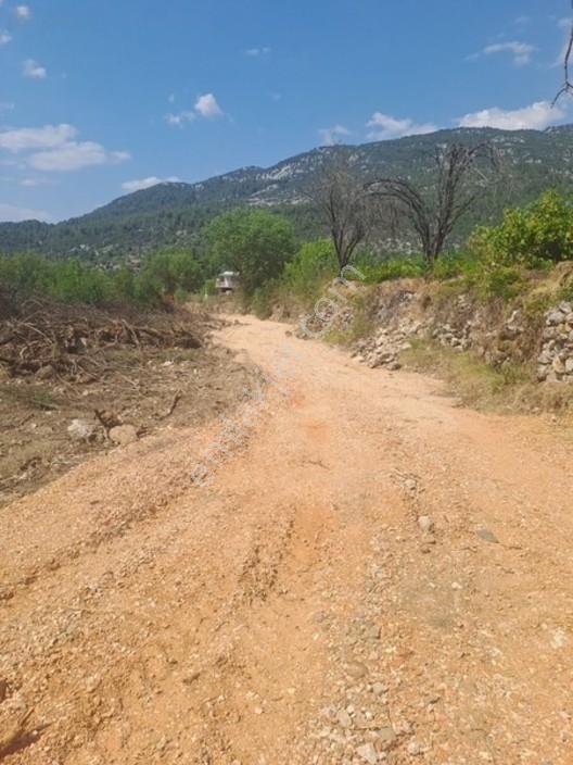 Antalya Akseki Usanmaz Emlaktan Mahmutlu Da Muhtşem Bir Yerdaha — fotoğraf 12