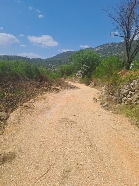 Antalya Akseki Usanmaz Emlaktan Mahmutlu Da Muhtşem Bir Yerdaha — fotoğraf 17