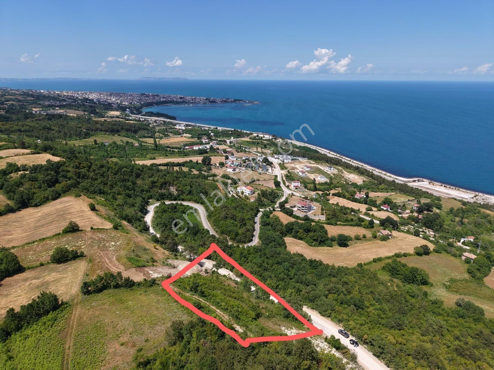 Sinop Gerze İmar Vasfında Manzaralı Tarla — fotoğraf 2