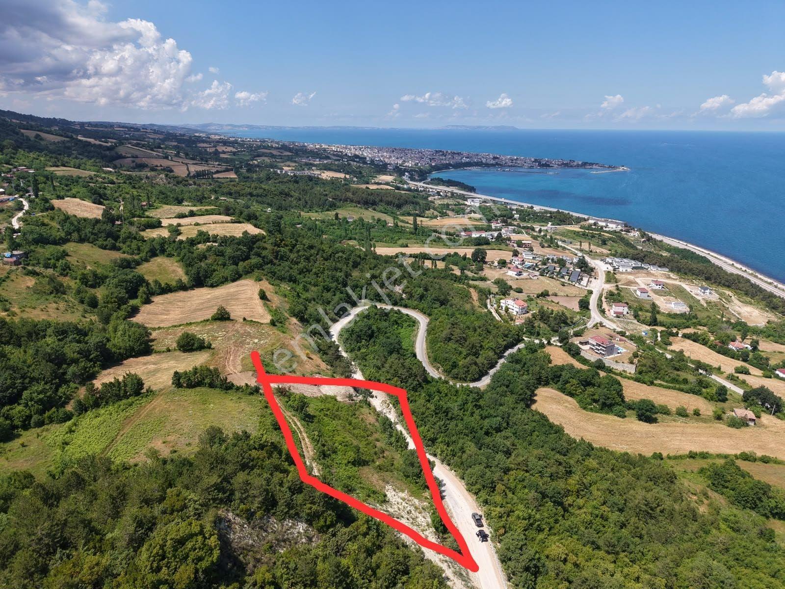 Sinop Gerze İmar Vasfında Manzaralı Tarla — fotoğraf 3