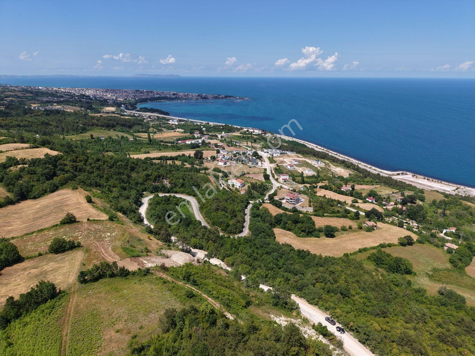Sinop Gerze İmar Vasfında Manzaralı Tarla — fotoğraf 12