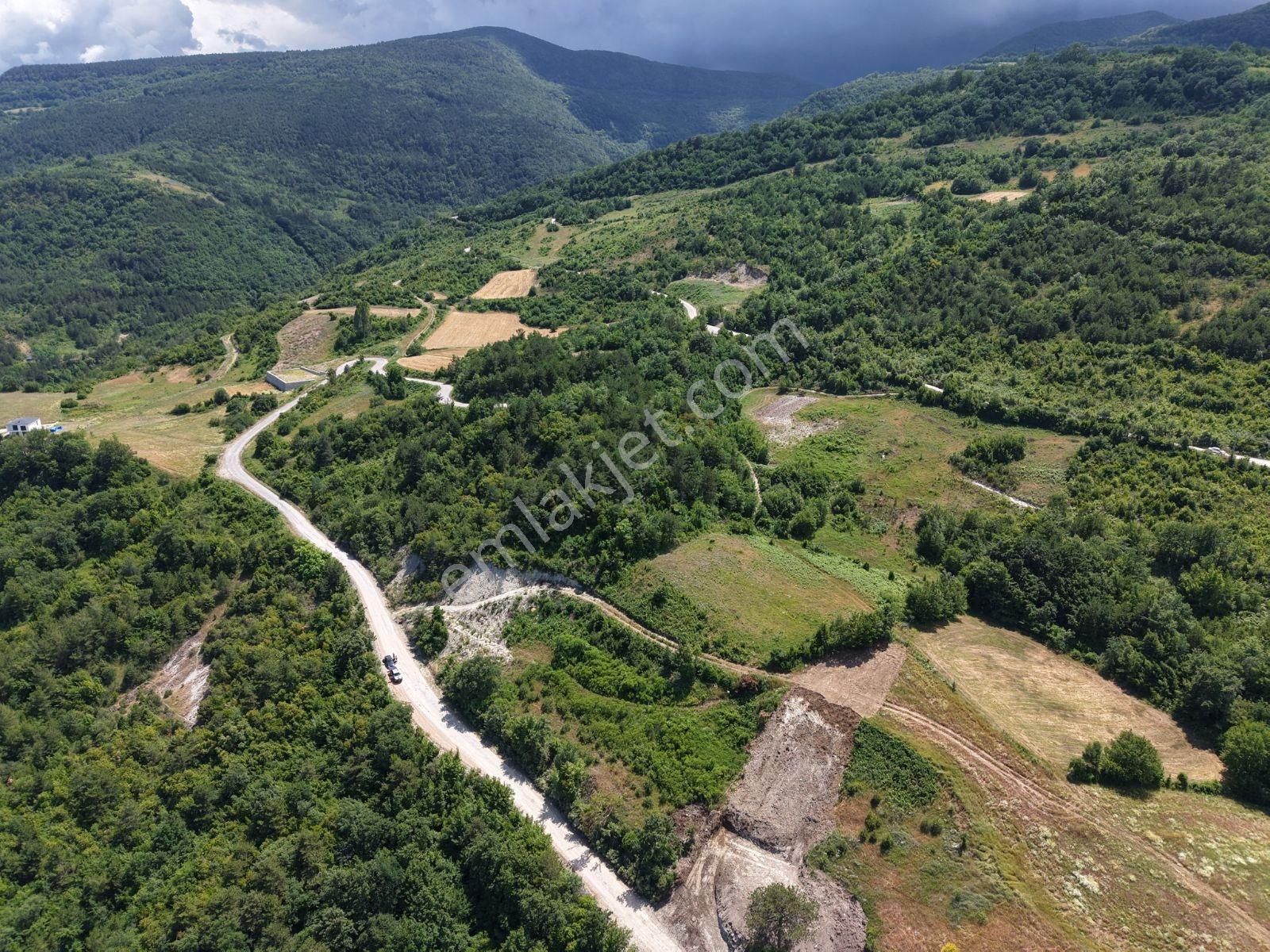 Sinop Gerze İmar Vasfında Manzaralı Tarla — fotoğraf 13