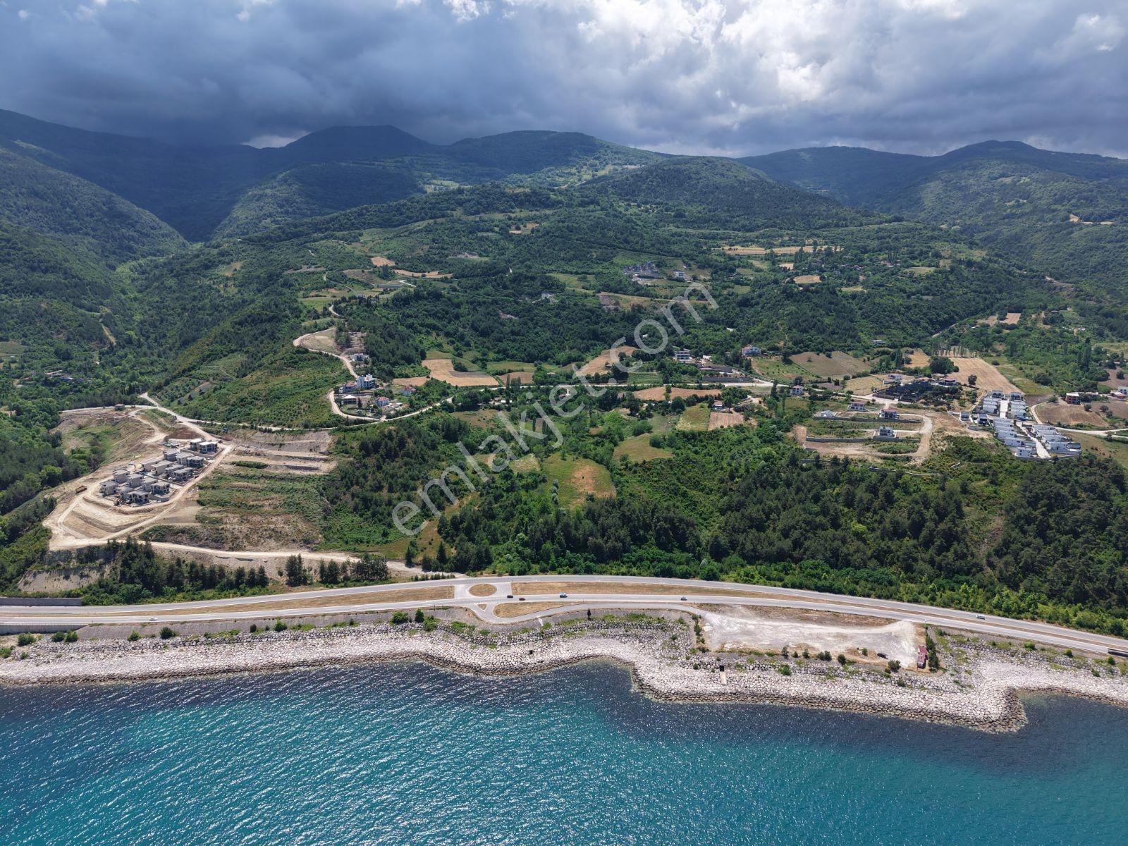 Sinop Gerze İmar Vasfında Manzaralı Tarla — fotoğraf 15
