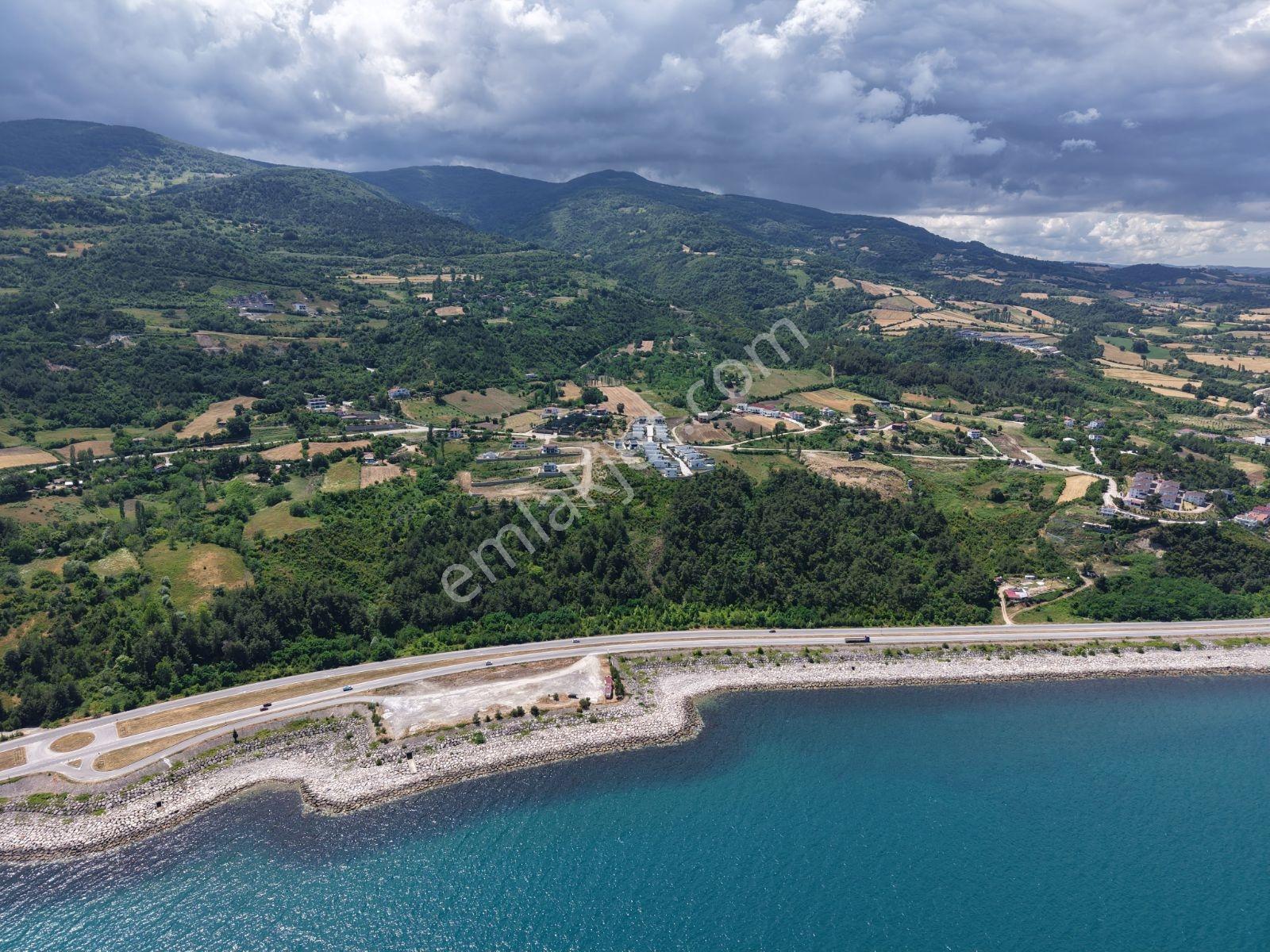 Sinop Gerze İmar Vasfında Manzaralı Tarla — fotoğraf 18