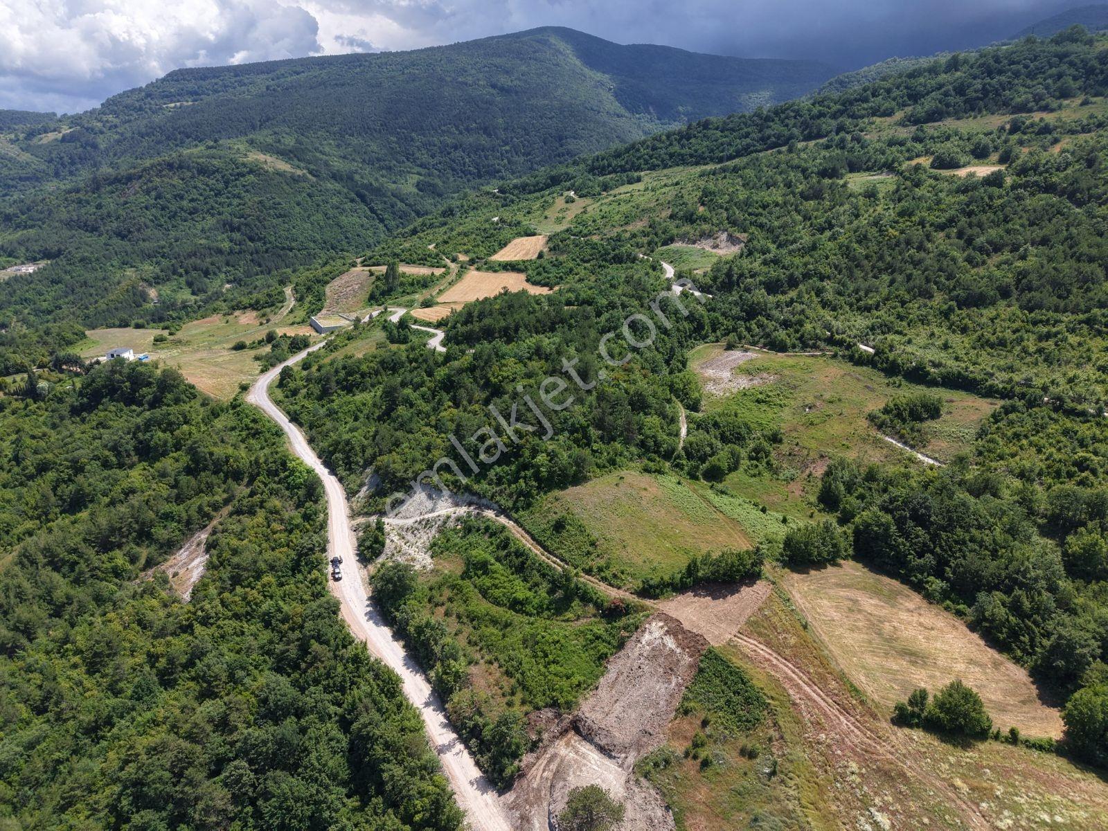 Sinop Gerze İmar Vasfında Manzaralı Tarla — fotoğraf 19