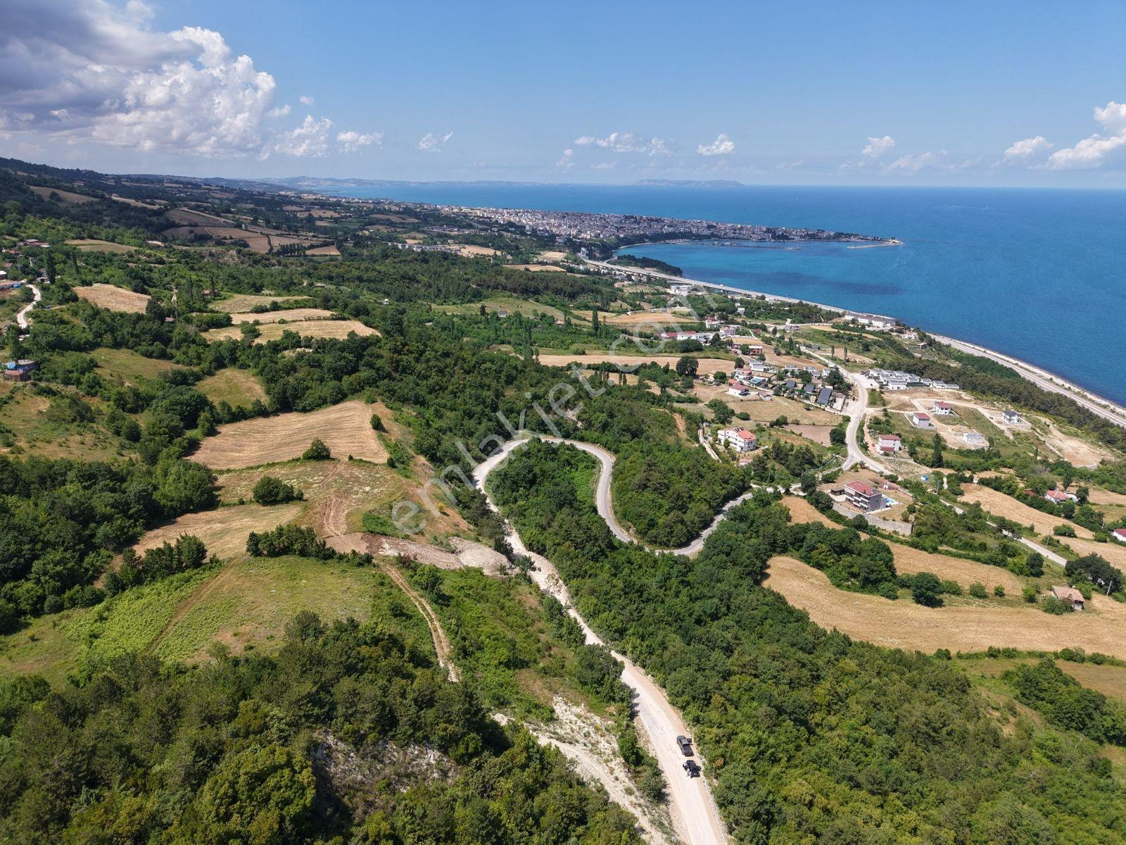 Sinop Gerze İmar Vasfında Manzaralı Tarla — fotoğraf 21