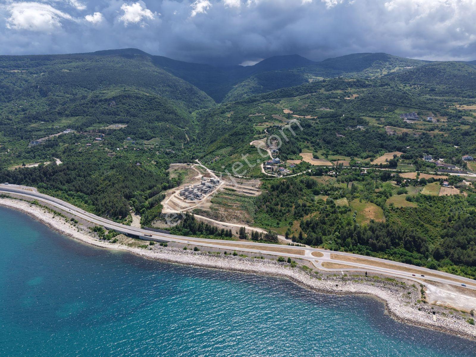 Sinop Gerze İmar Vasfında Manzaralı Tarla — fotoğraf 22