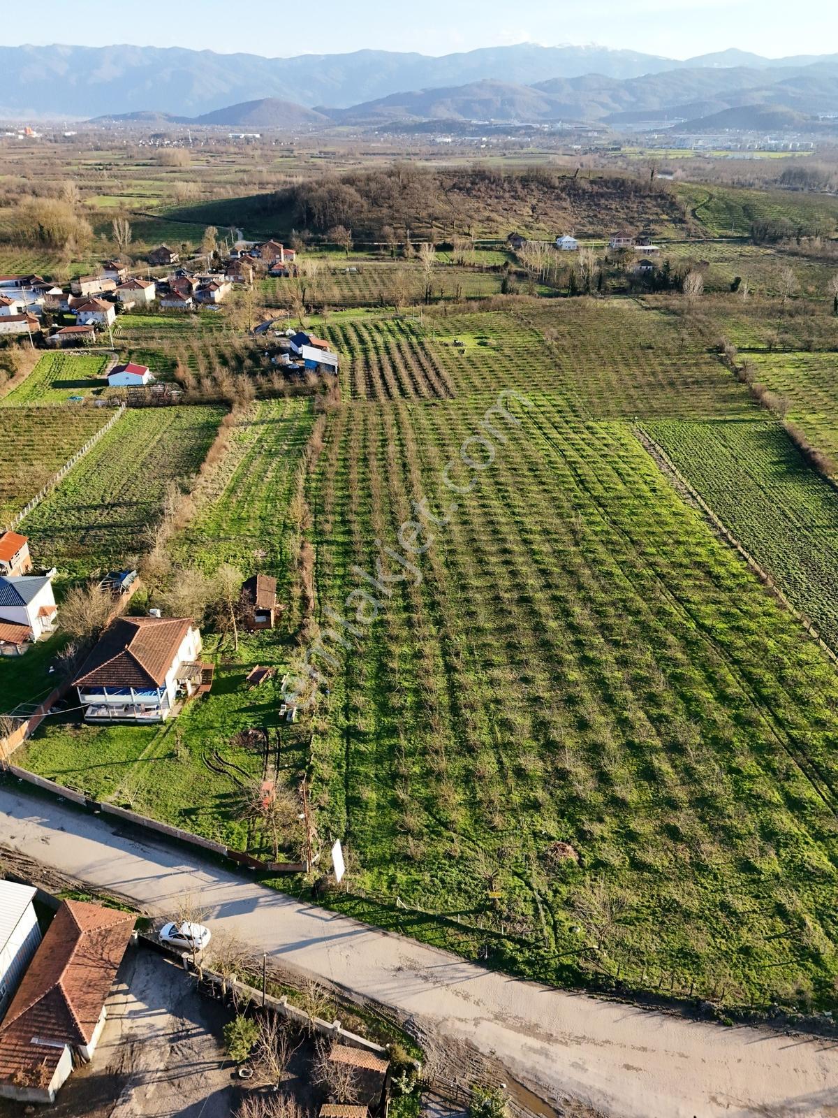 Satılık 4 Dönüm Köy İçi Bahçe