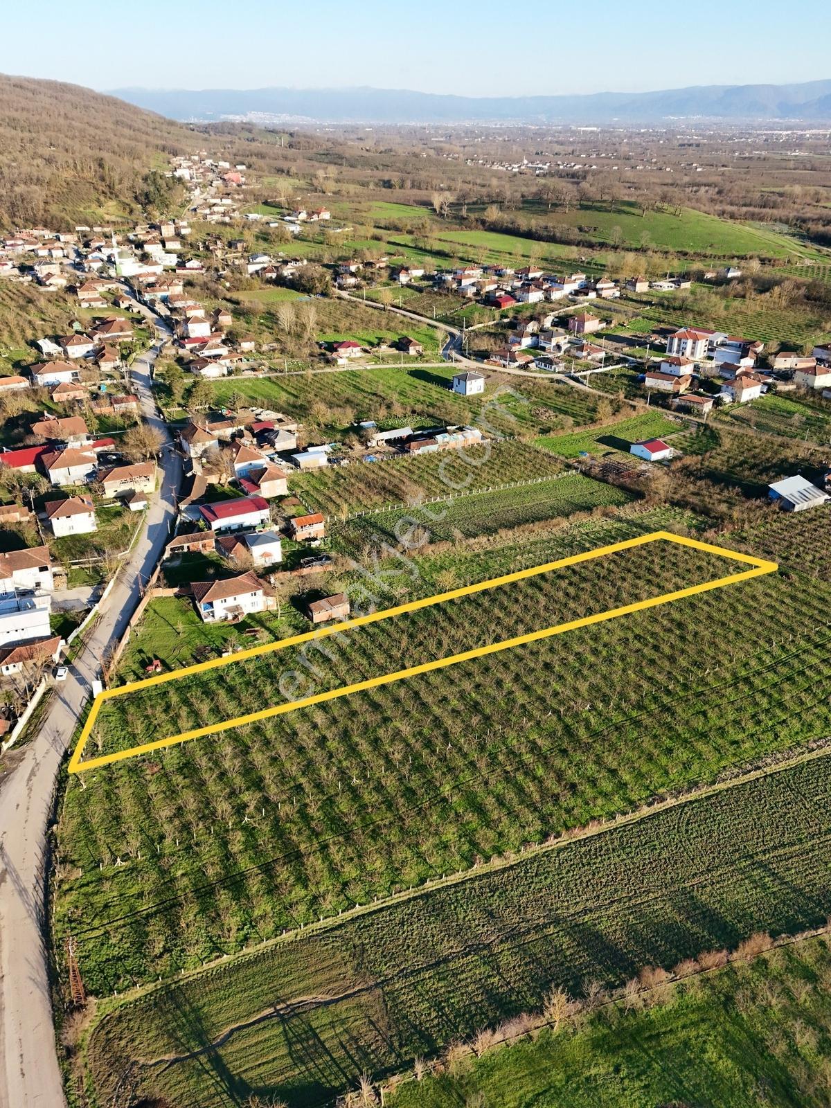 Satılık 4 Dönüm Köy İçi Bahçe — fotoğraf 4