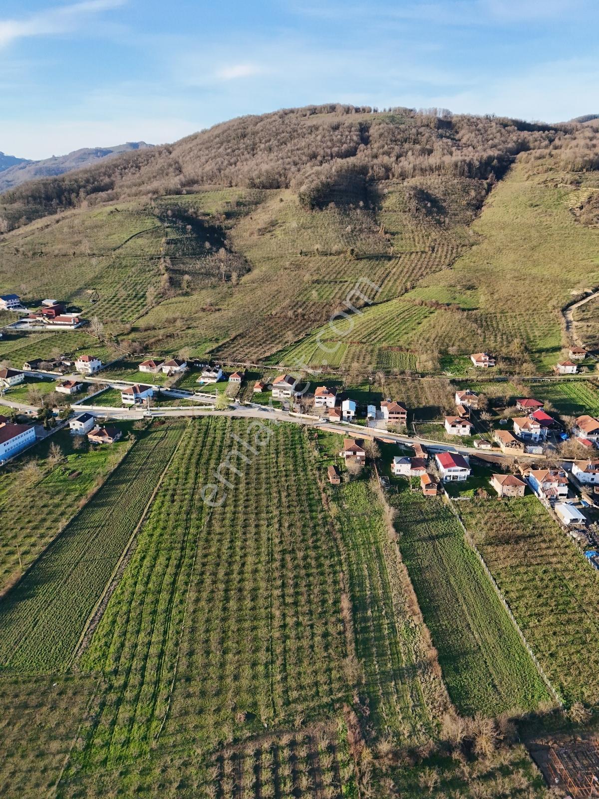 Satılık 4 Dönüm Köy İçi Bahçe — fotoğraf 7