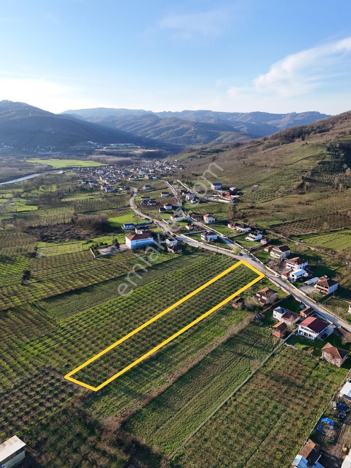 Satılık 4 Dönüm Köy İçi Bahçe — fotoğraf 10