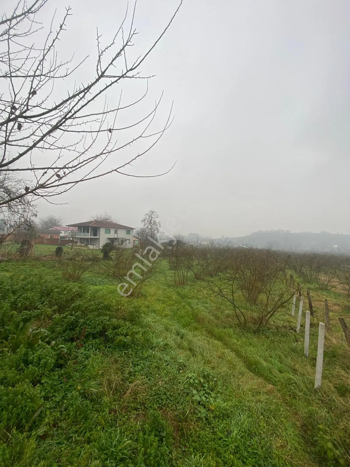 Satılık 4 Dönüm Köy İçi Bahçe — fotoğraf 16