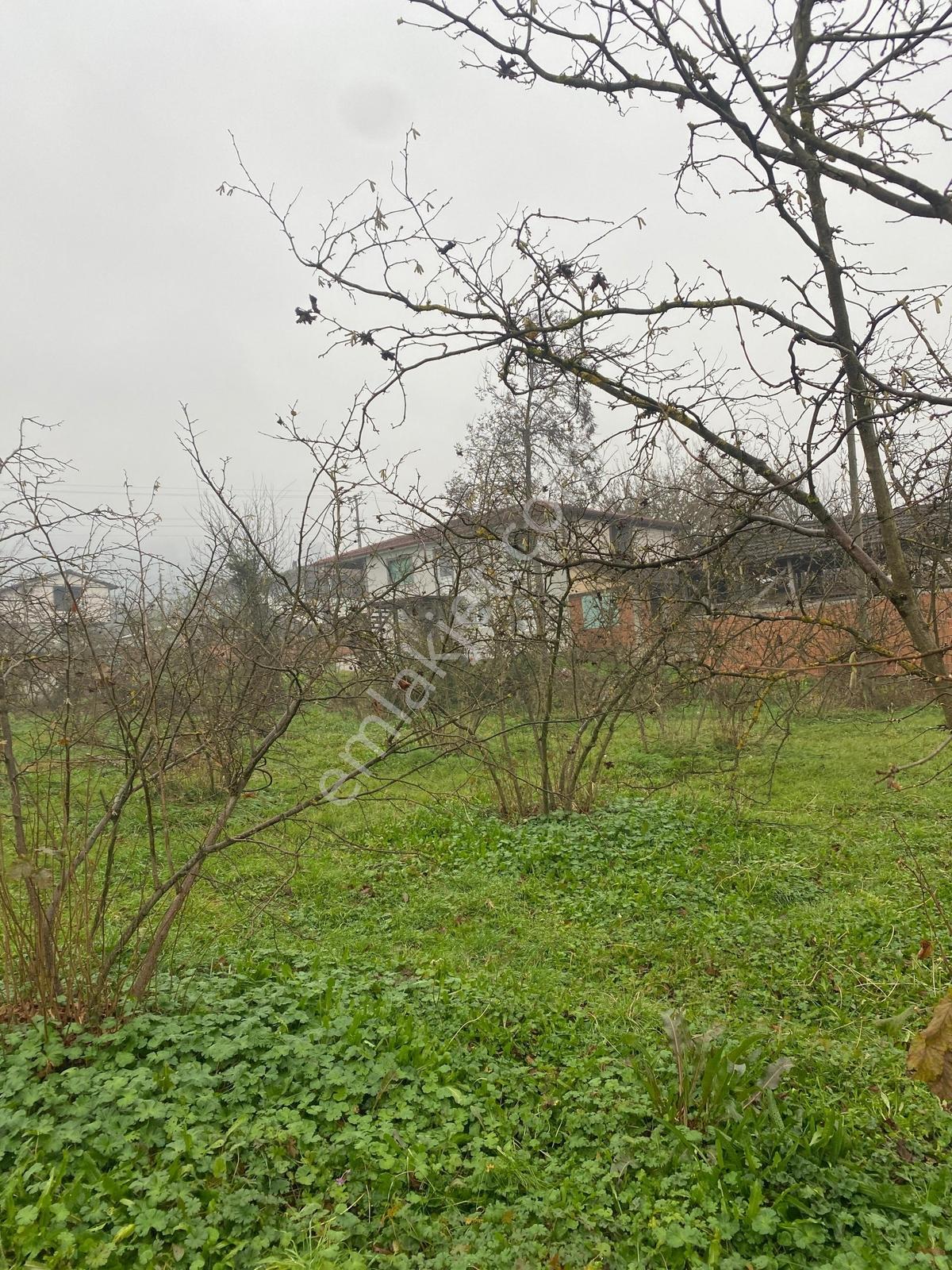 Satılık 4 Dönüm Köy İçi Bahçe — fotoğraf 20