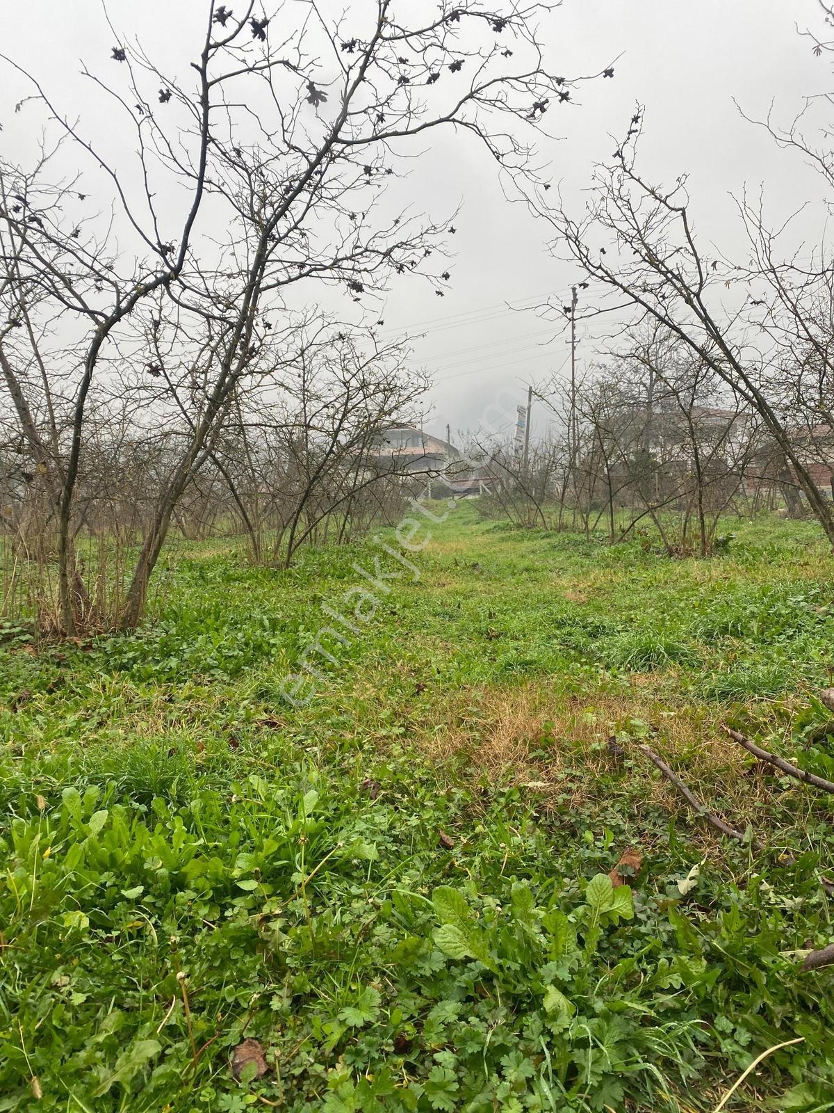 Satılık 4 Dönüm Köy İçi Bahçe — fotoğraf 23