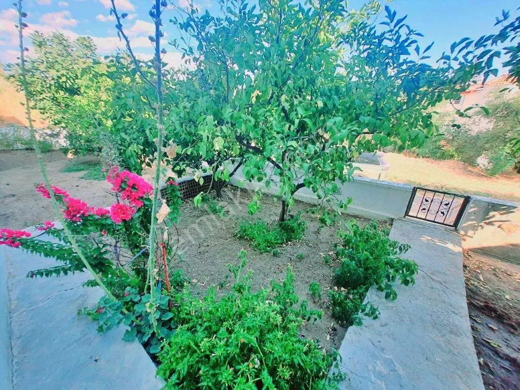 Uytundan Gürede Denize 250 Metre Çift Bahçeli 2+1 Kelepir Villa! — fotoğraf 5