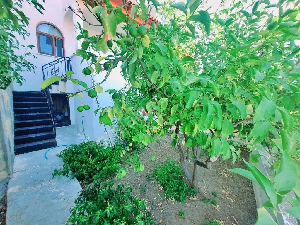 Uytundan Gürede Denize 250 Metre Çift Bahçeli 2+1 Kelepir Villa! — fotoğraf 10