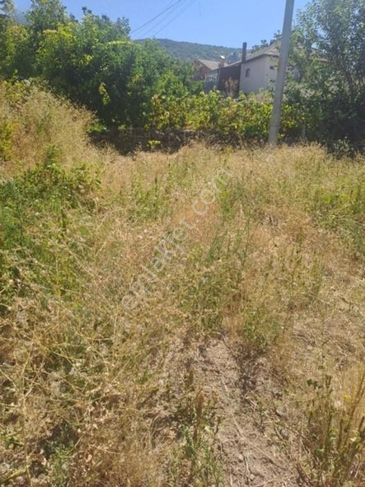 Konya Seydişehir Gevrekli Usanmaztan Satılık İki Kat İmarlı Arsa — fotoğraf 4