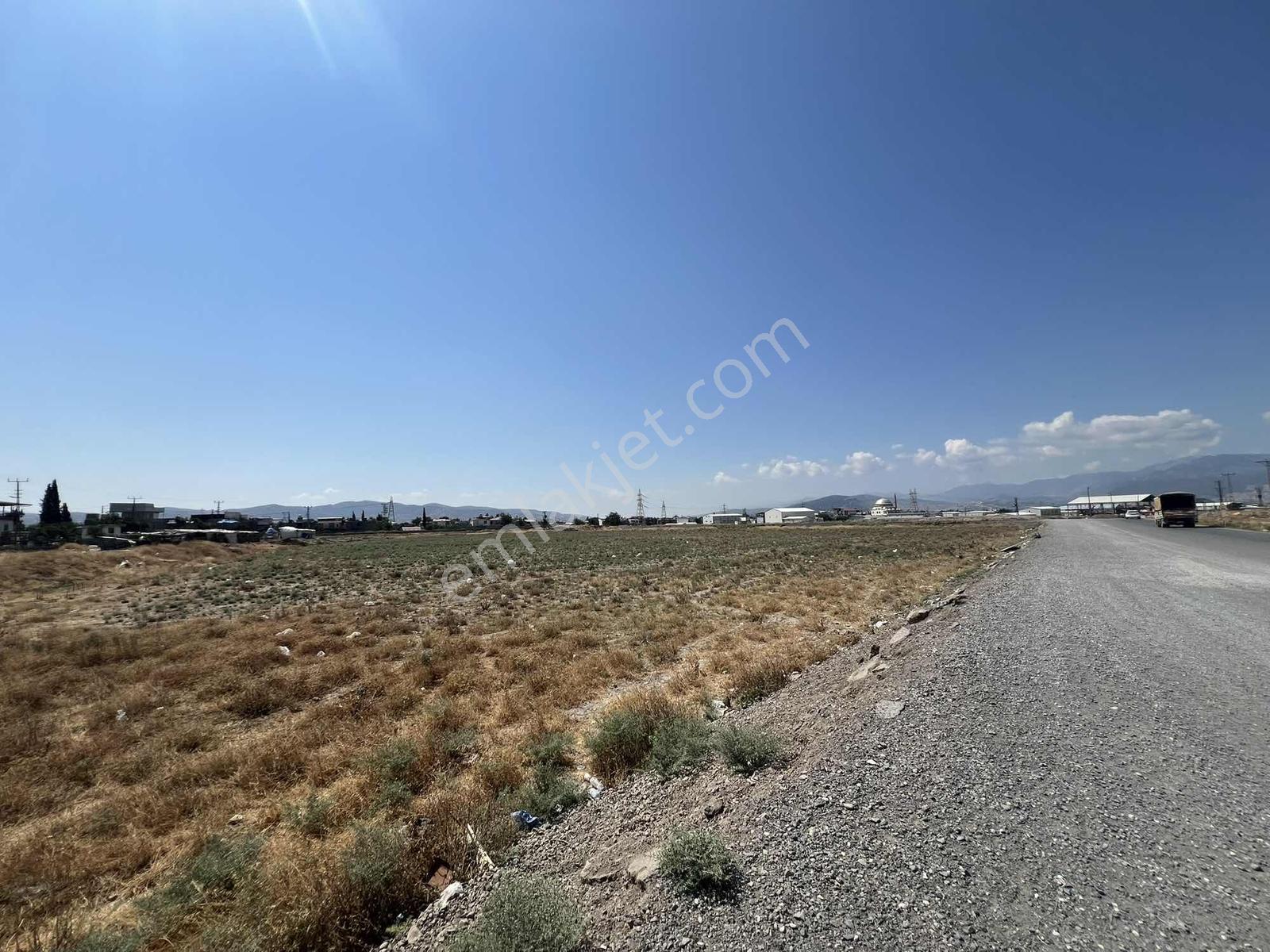 Germenıcıa'dan Satılık 2 Parsel Ticari Arsa — fotoğraf 7
