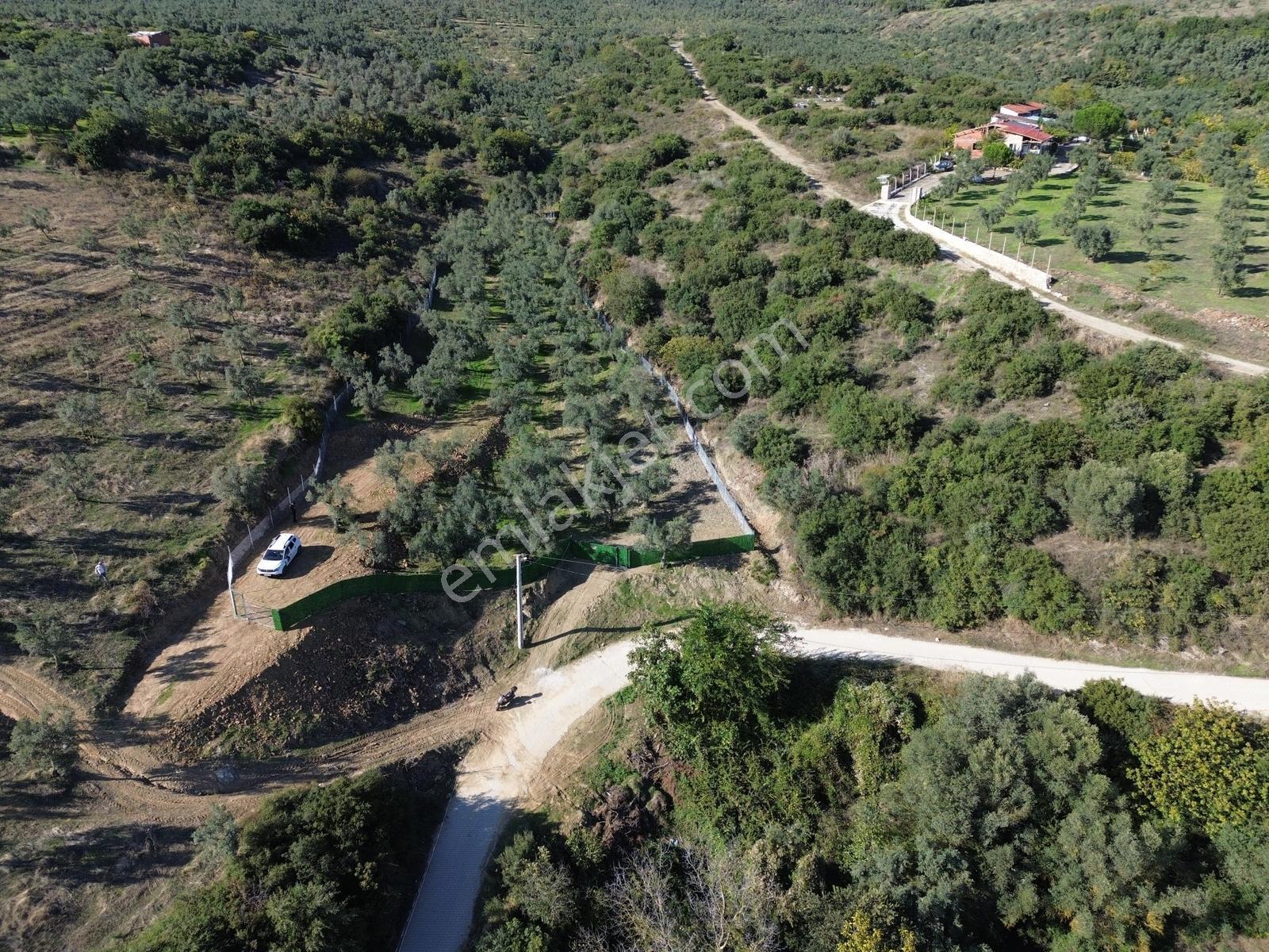 Beka'dan Çeltikçi'de 2758 M² İmara Yakın Göl Manzaralı Zeytinlik — fotoğraf 7