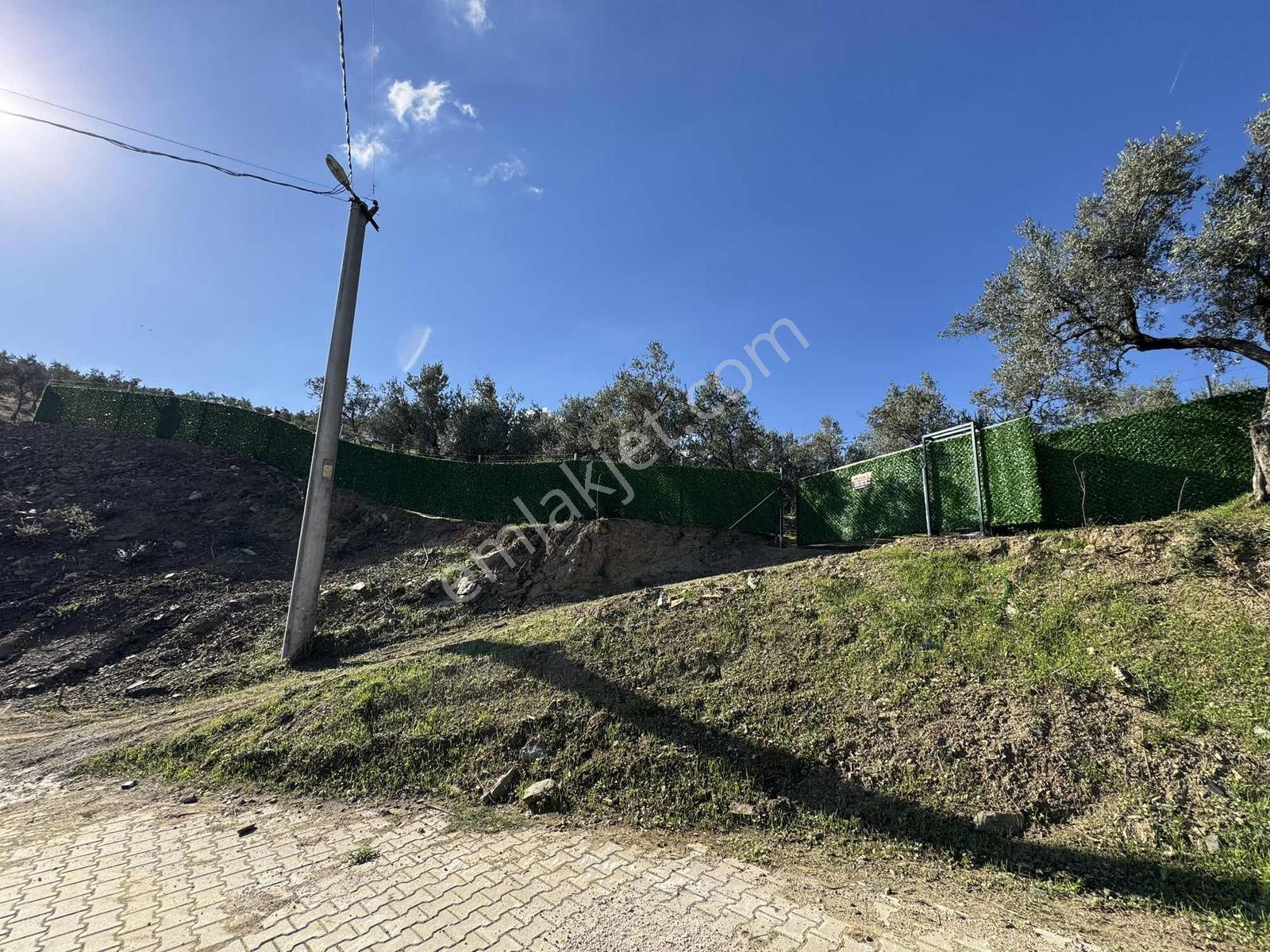 Beka'dan Çeltikçi'de 2758 M² İmara Yakın Göl Manzaralı Zeytinlik — fotoğraf 18