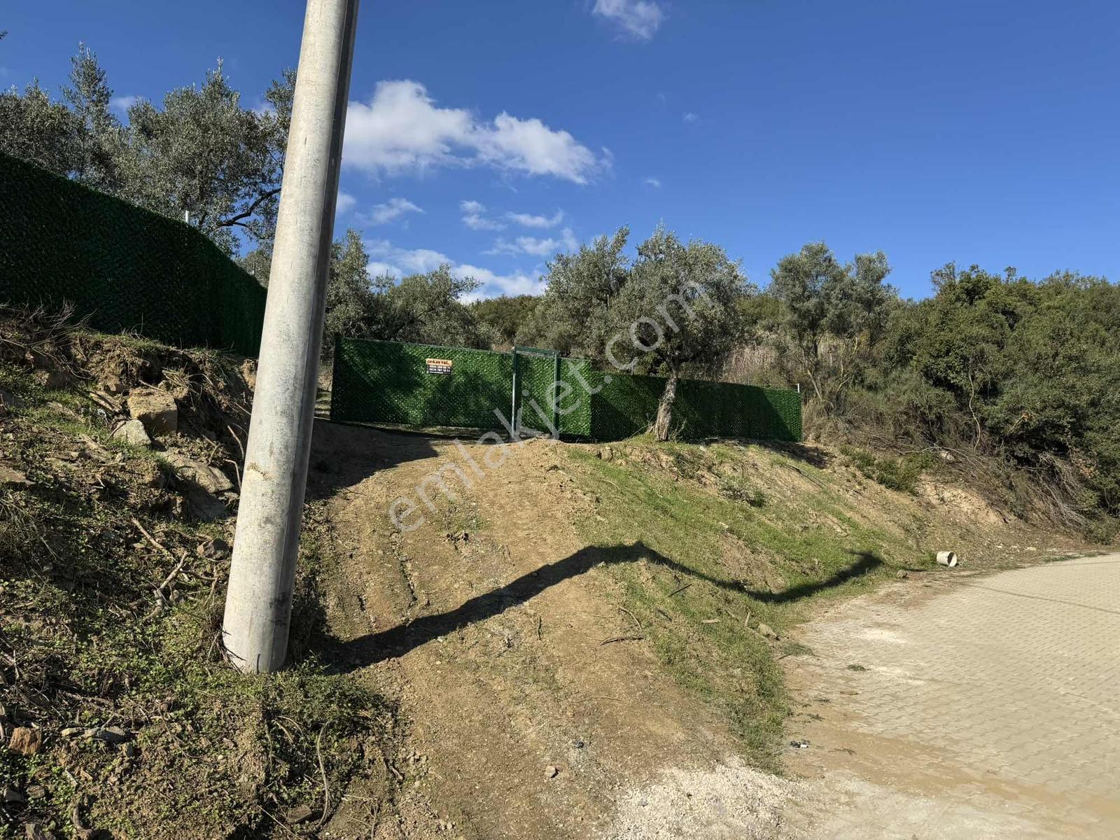 Beka'dan Çeltikçi'de 2758 M² İmara Yakın Göl Manzaralı Zeytinlik — fotoğraf 19