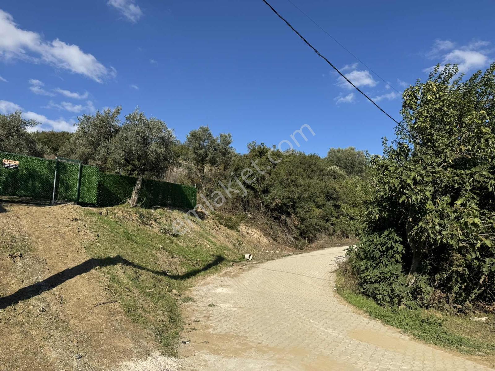 Beka'dan Çeltikçi'de 2758 M² İmara Yakın Göl Manzaralı Zeytinlik — fotoğraf 20
