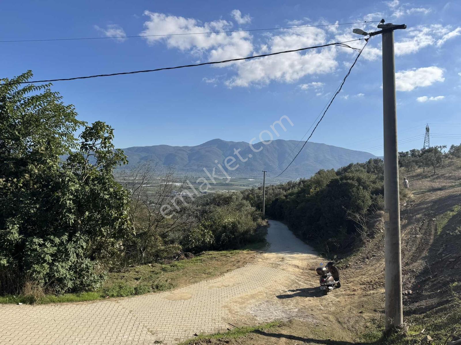 Beka'dan Çeltikçi'de 2758 M² İmara Yakın Göl Manzaralı Zeytinlik — fotoğraf 21