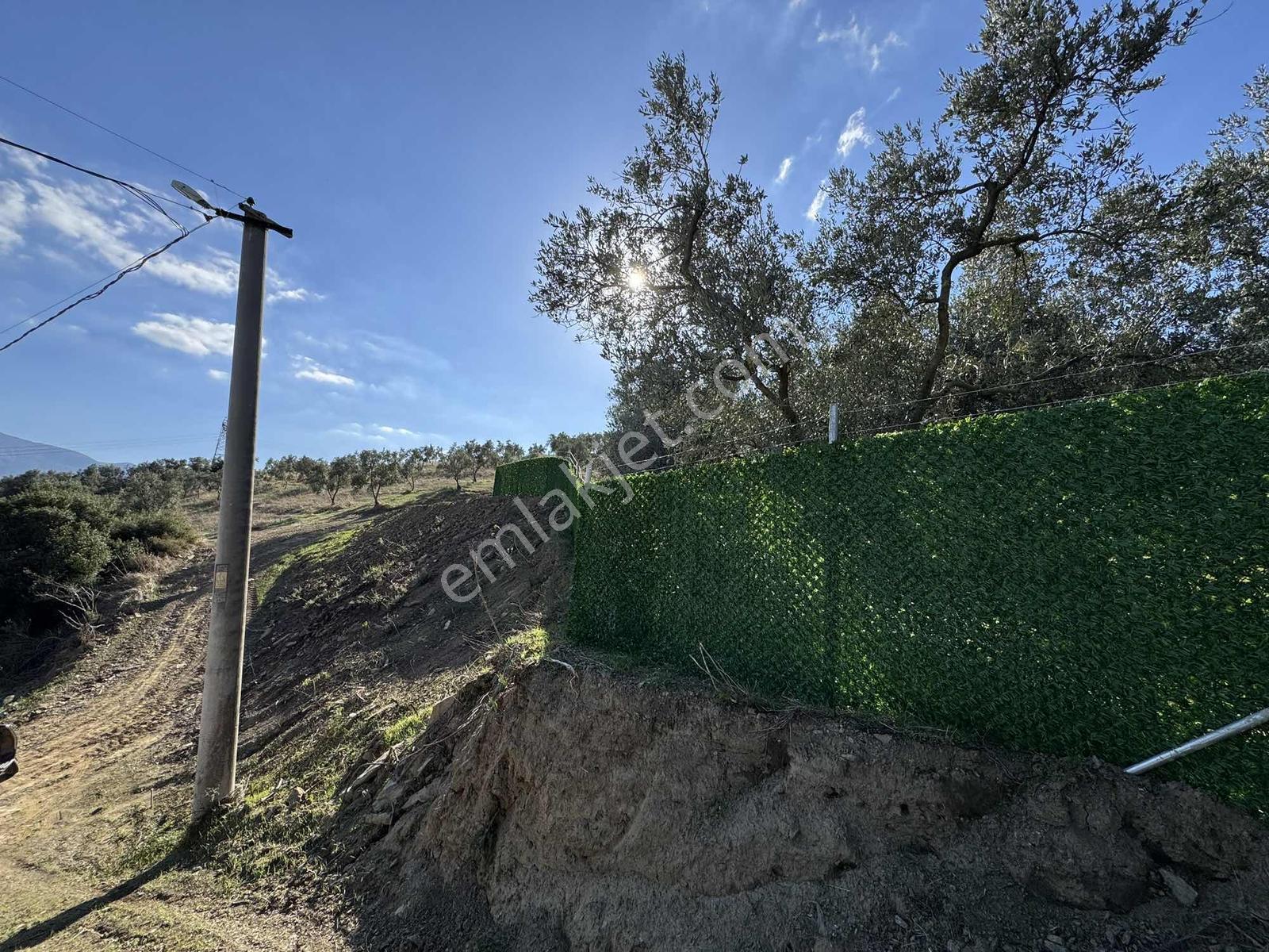 Beka'dan Çeltikçi'de 2758 M² İmara Yakın Göl Manzaralı Zeytinlik — fotoğraf 23