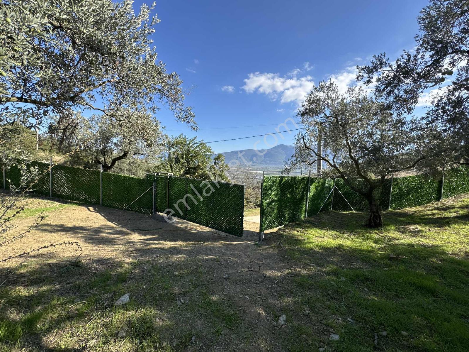 Beka'dan Çeltikçi'de 2758 M² İmara Yakın Göl Manzaralı Zeytinlik — fotoğraf 27