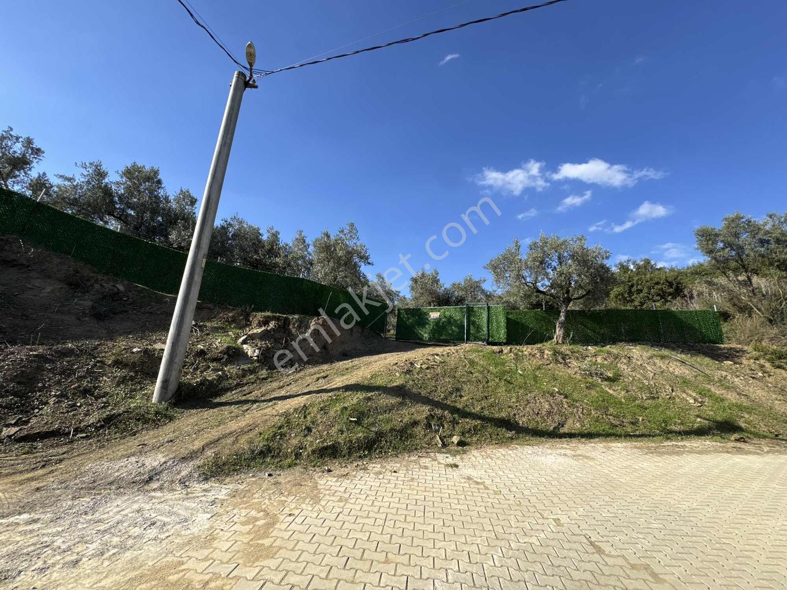 Beka'dan Çeltikçi'de 2758 M² İmara Yakın Göl Manzaralı Zeytinlik — fotoğraf 32