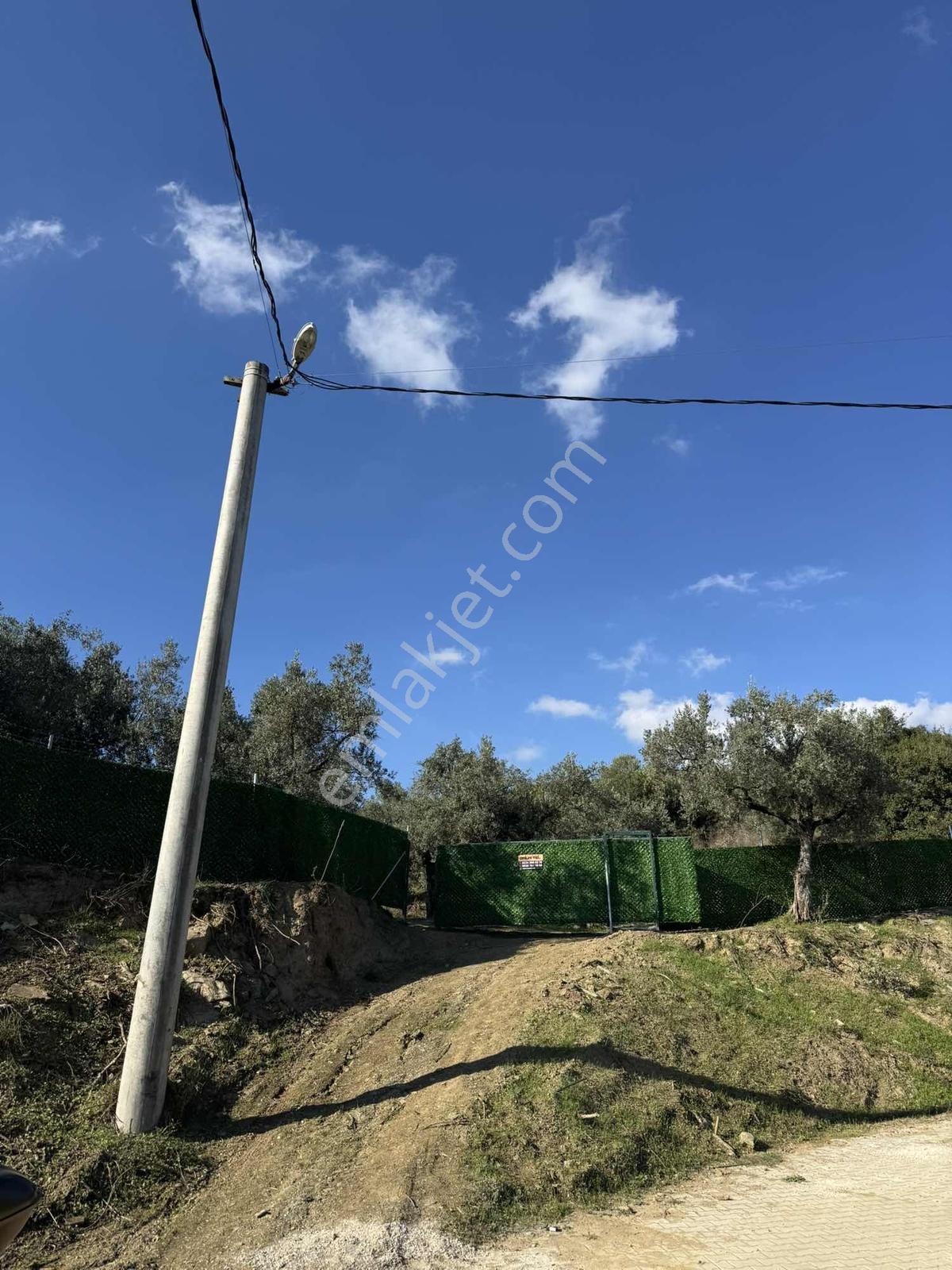 Beka'dan Çeltikçi'de 2758 M² İmara Yakın Göl Manzaralı Zeytinlik — fotoğraf 34