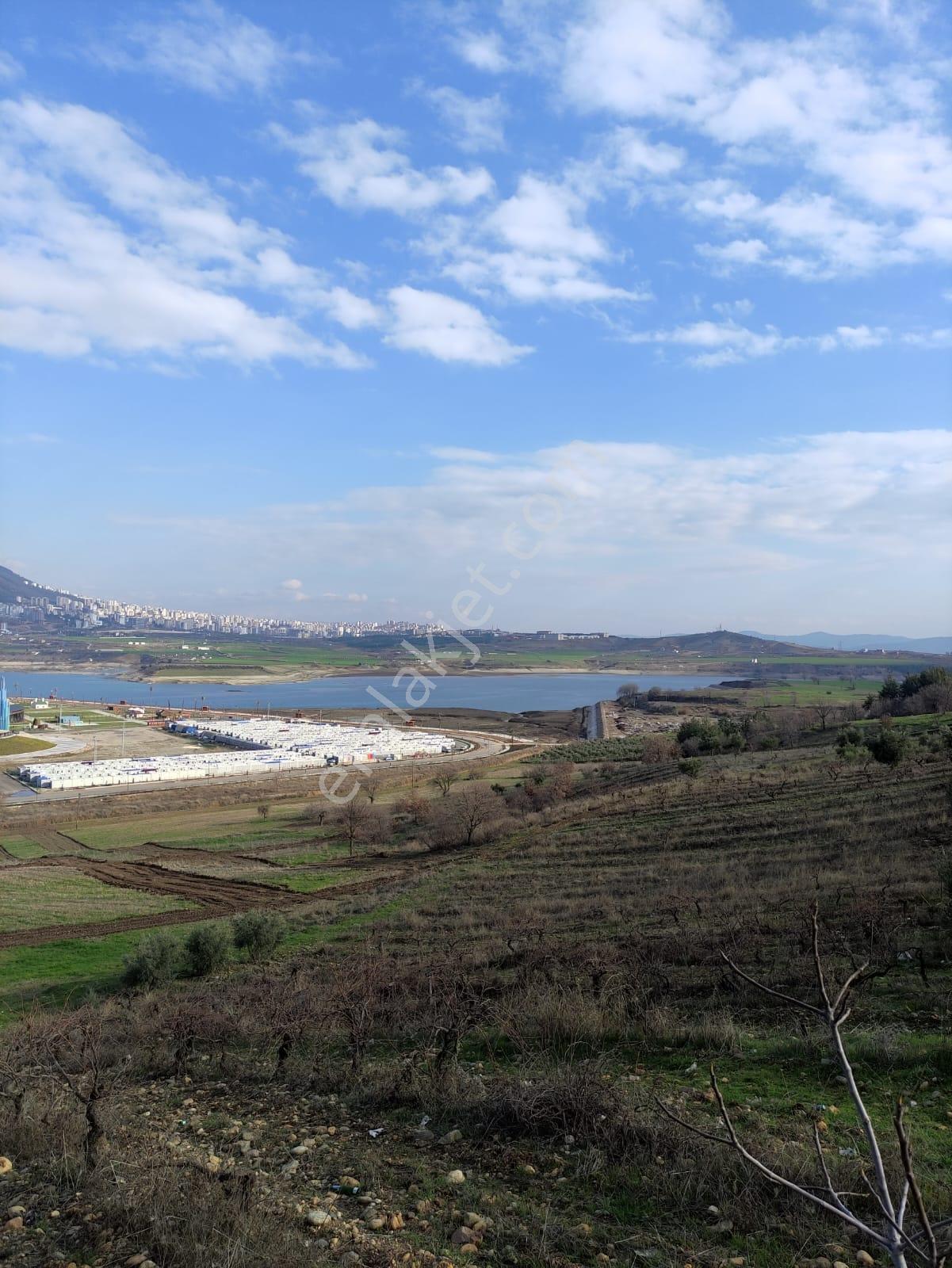 Expo Yanı Yeni İmarlı Muhteşem Manzaralı Fırsat!!! Villa Arsası — fotoğraf 5