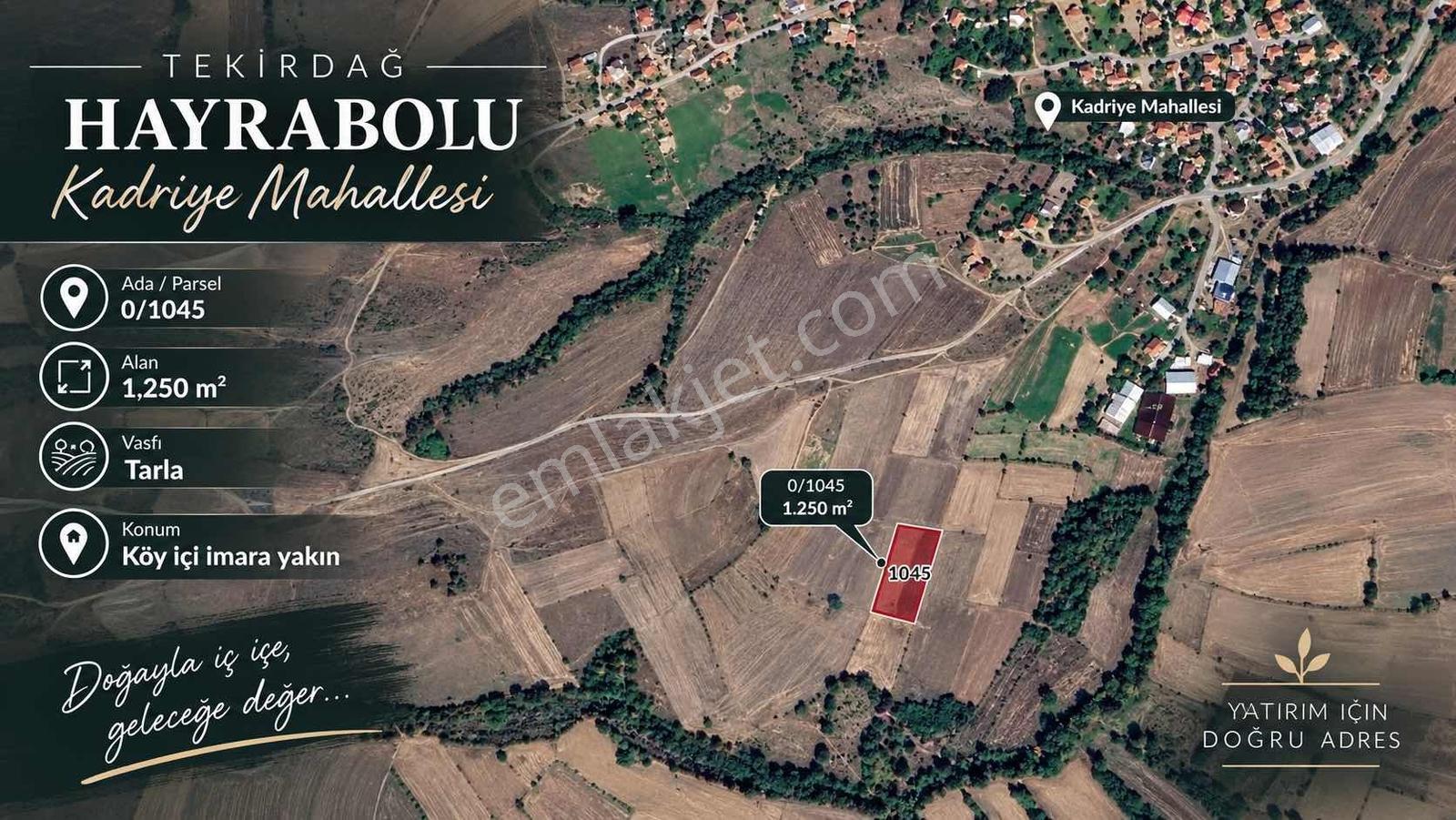 Tekirdağ / Hayrabolu / Kadriye Mh / Satılık / Tarla