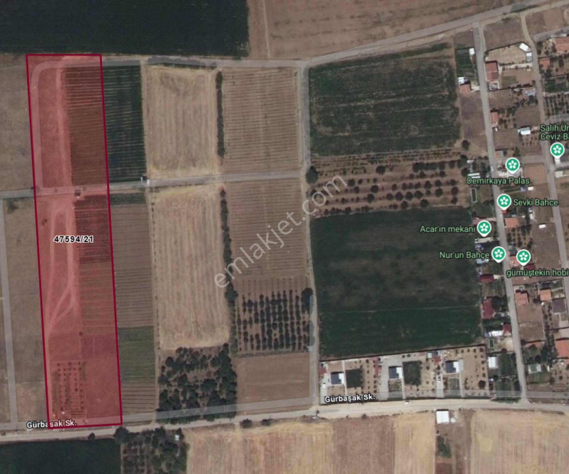 Gödene Fatmanın Yeri Mevki Hisseli Tarla 4035 M² Tapu Hazır... — fotoğraf 6