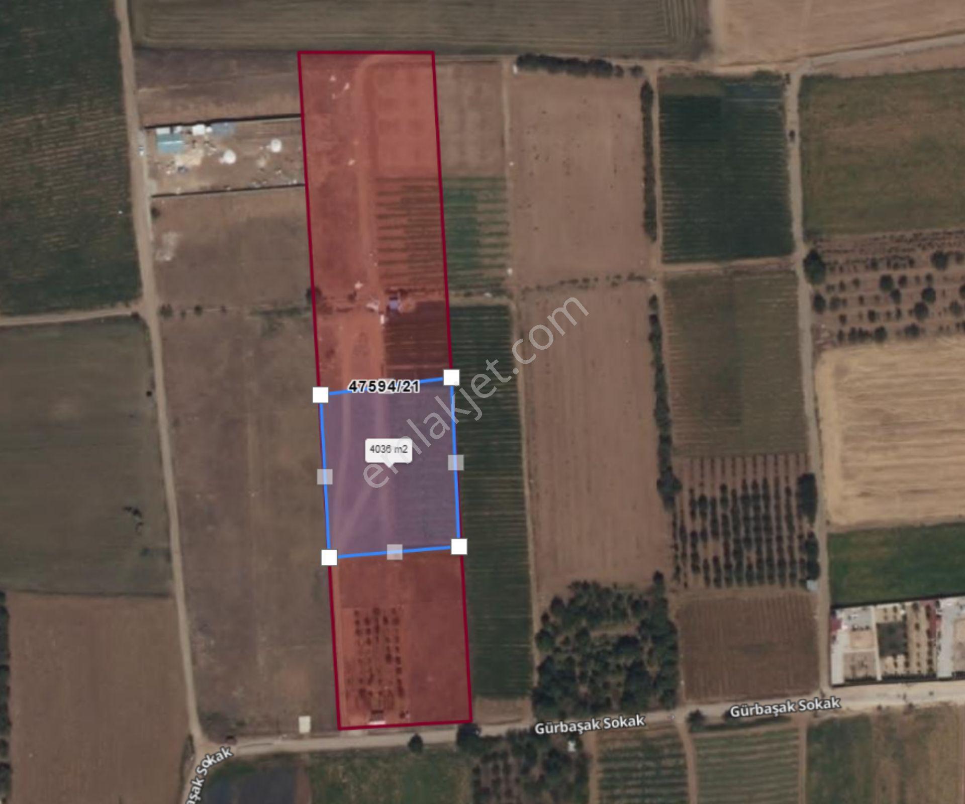 Gödene Fatmanın Yeri Mevki Hisseli Tarla 4035 M² Tapu Hazır... — fotoğraf 10