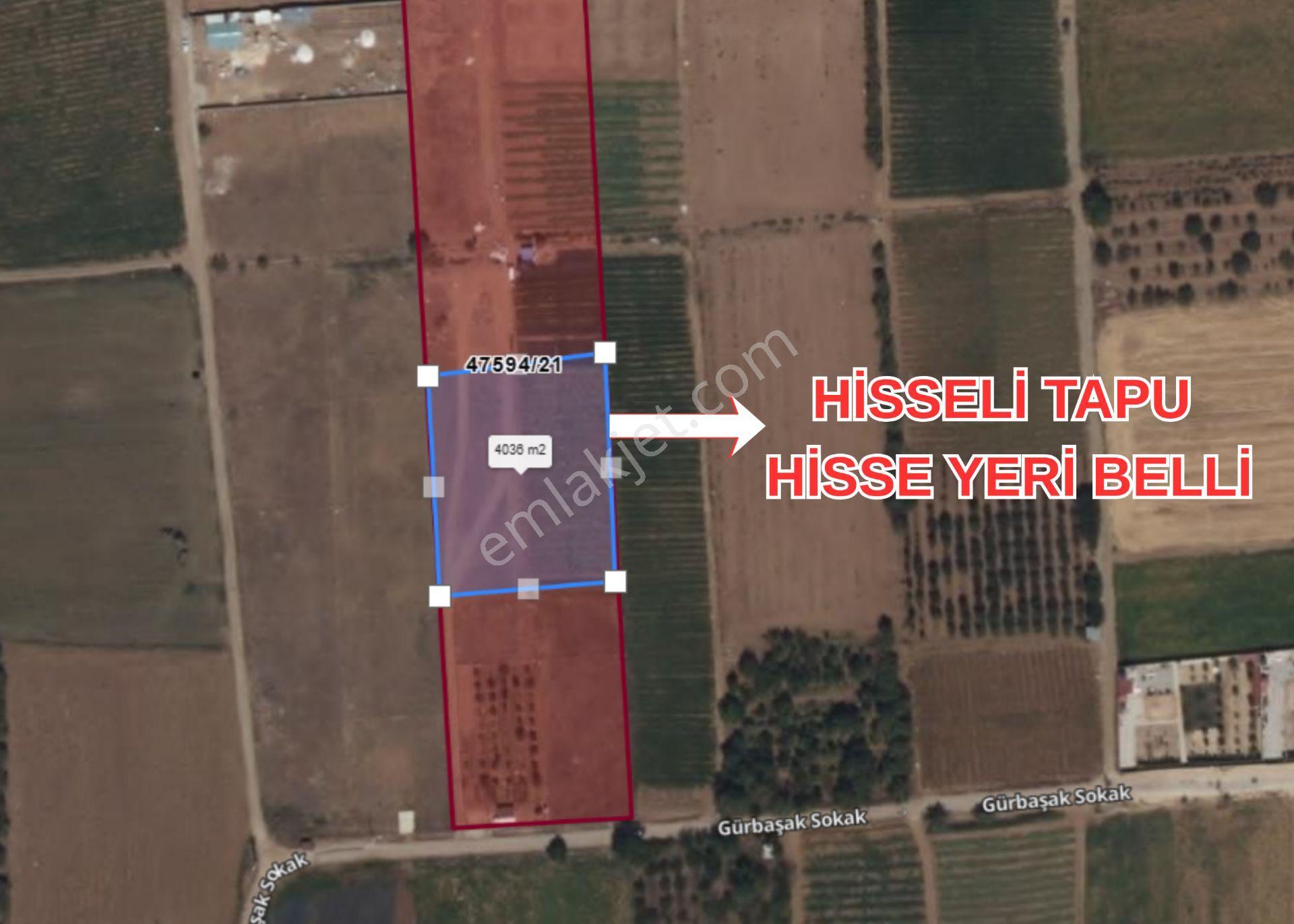 Gödene Fatmanın Yeri Mevki Hisseli Tarla 4035 M² Tapu Hazır... — fotoğraf 13