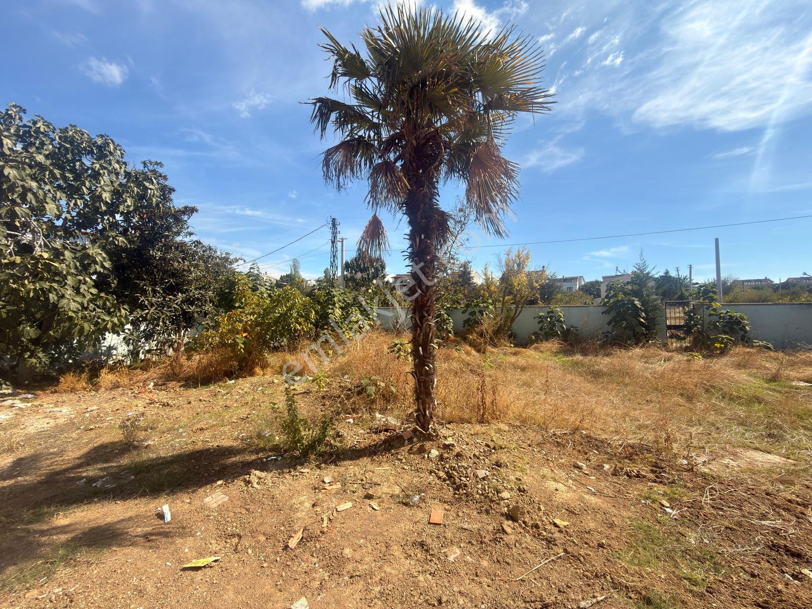 Marmara Ereğlisi Yeniçiftlik'Te 242 M² Net,Köşe Başı Arsa