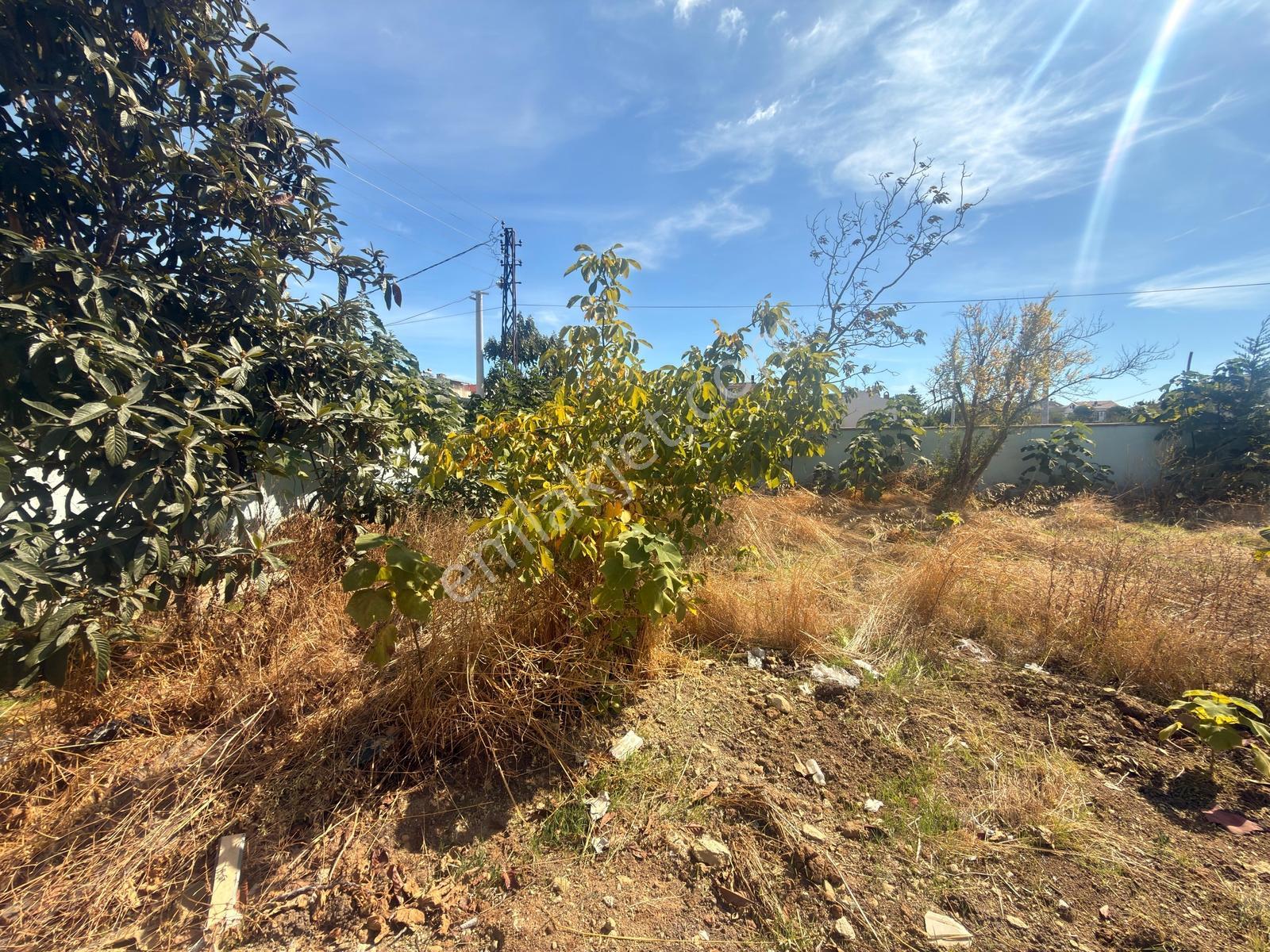 Marmara Ereğlisi Yeniçiftlik'te 242 M² Net,köşe Başı Arsa — fotoğraf 4