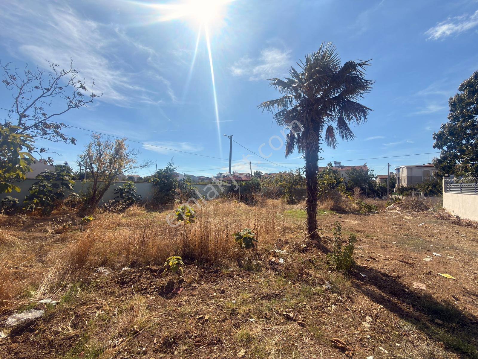 Marmara Ereğlisi Yeniçiftlik'te 242 M² Net,köşe Başı Arsa — fotoğraf 17