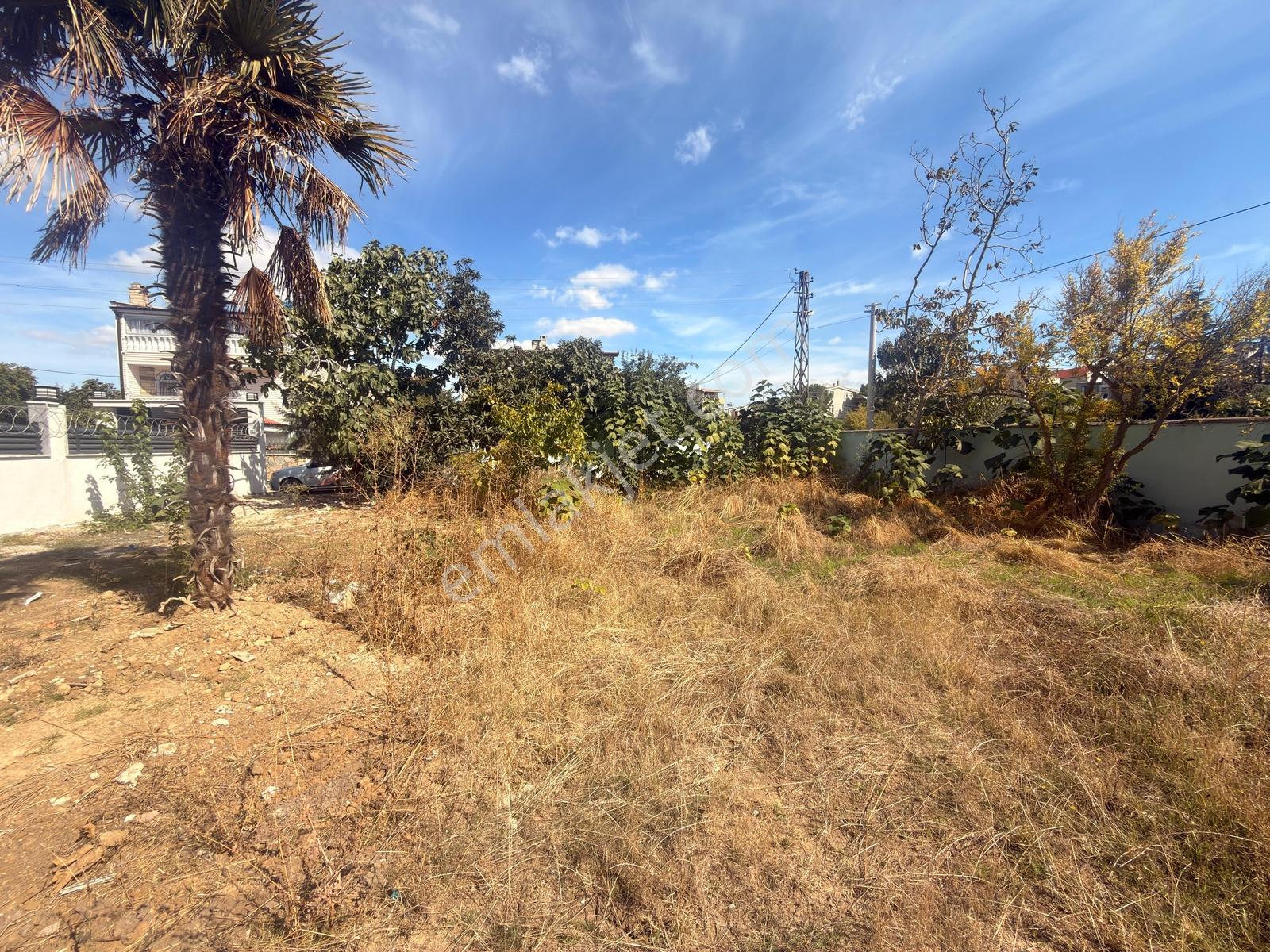 Marmara Ereğlisi Yeniçiftlik'te 242 M² Net,köşe Başı Arsa — fotoğraf 18